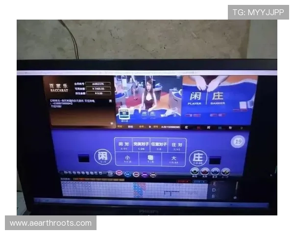 利用百家乐录单软件优化游戏策略,实现持续盈利的实用技巧与操作建议 利用百家乐录单软件优化游戏策略,实现持续盈利的实用技巧与操作建议