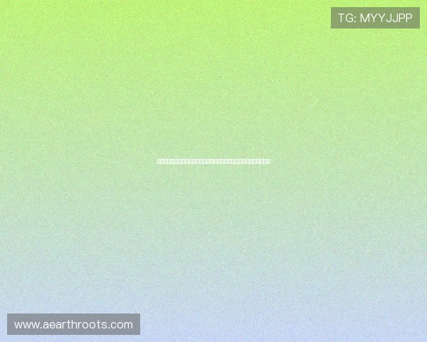 乐鱼在线登陆官网打造全景式世界杯报道，满足用户多样化体育资讯需求